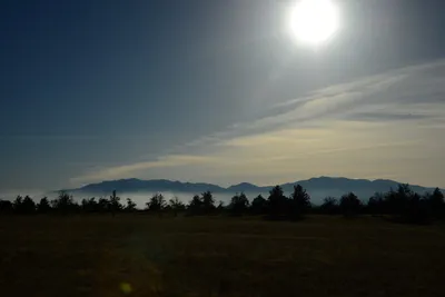 DSC_2986 (Large).JPG